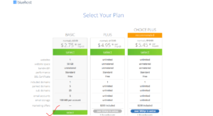 bluehost-plan