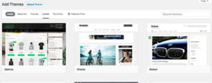 searching-wordpress-theme
