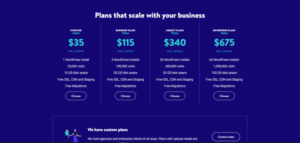 kinsta-hosting